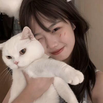 梦幻征途手游下载